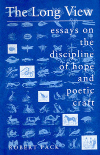 title The Long View Essays On the Discipline of Hope and Poetic Craft - photo 1