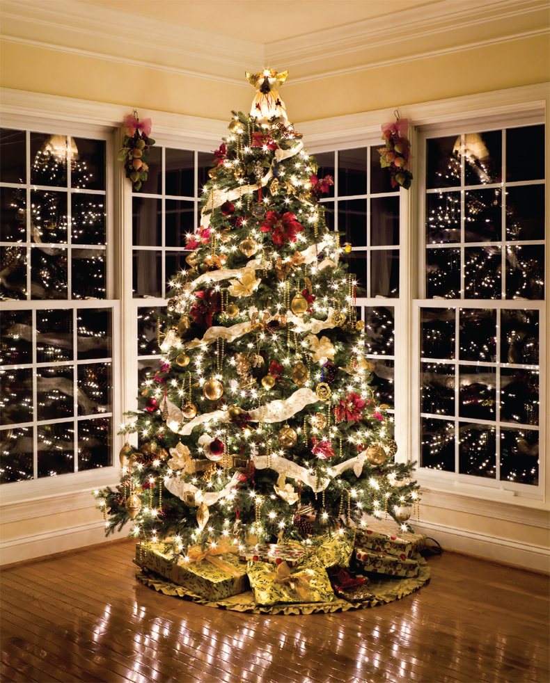 Lets Get Decorating W elcome to The Christmas Tree Book I am so excited that - photo 3