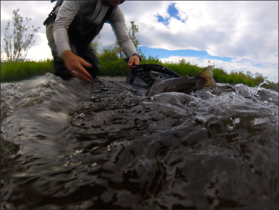 Introduction I have always felt that fly fishing for trout is ultimately less - photo 5