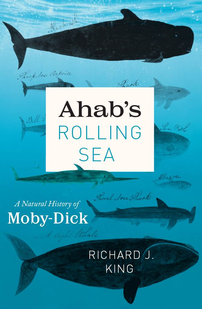 AHABS ROLLING SEA Also by Richard J King Lobster The Devils Cormorant A - photo 1
