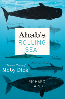 King Richard J. - Ahabs rolling sea: a natural history of Moby-Dick