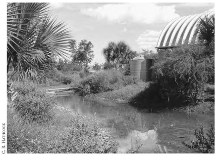 World Birding Center A tank next to the arched roof catchment that feeds the - photo 6