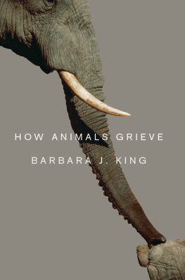 King - How Animals Grieve