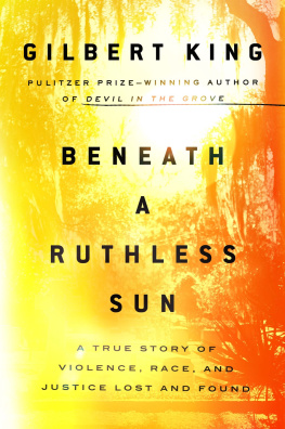 King - Beneath a ruthless sun: a true story of violence, race, and justice lost and found