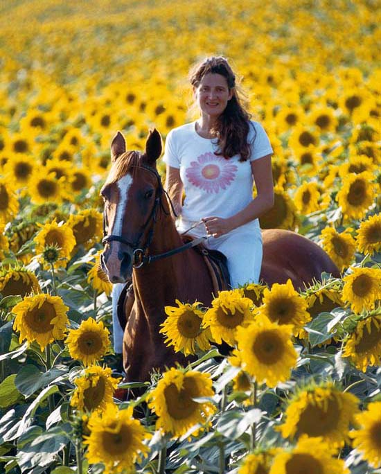 I always know what time of summer it is by the dispensation of the sunflowers - photo 5