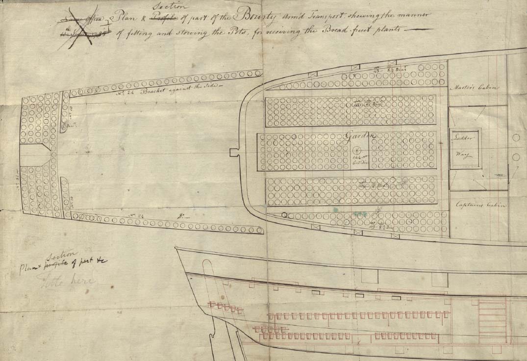 Sketch by William Bligh of the plant nursery on HMS Bounty 1787 Sketch of - photo 16