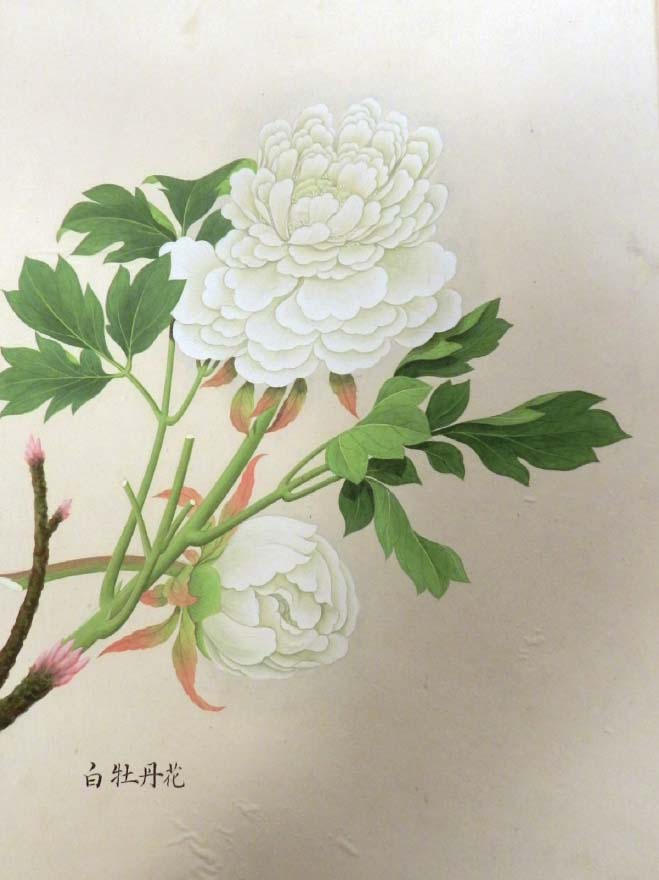 White peony by an unknown Chinese artist c17946 A view of Funchal - photo 22