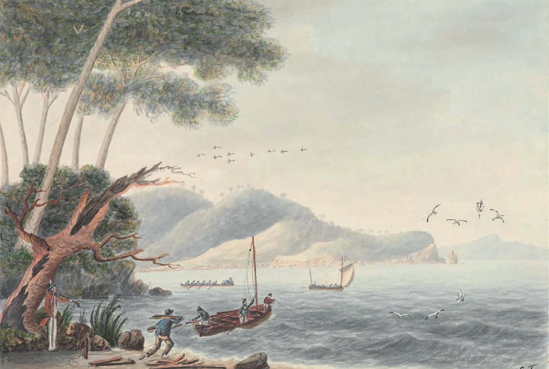 Adventure Bay 1792 watercolour by Lieutenant George Tobin Point Venus - photo 28