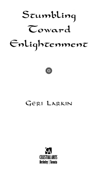 Copyright 1997 2009 by Geri Larkin All rights reserved No part of this book - photo 2