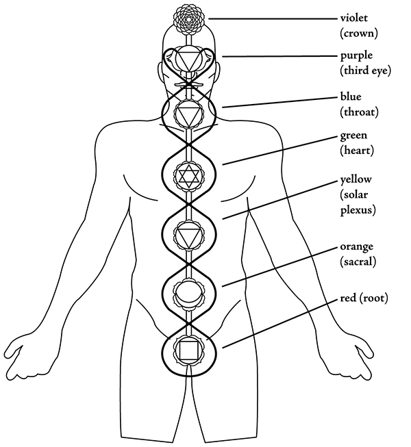 Figure illustrating the placement of the seven chakras Acknowledgments I wish - photo 3