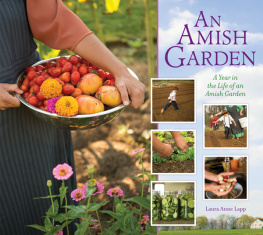 Lapp - Amish Garden: a Year in the Life of an Amish Garden