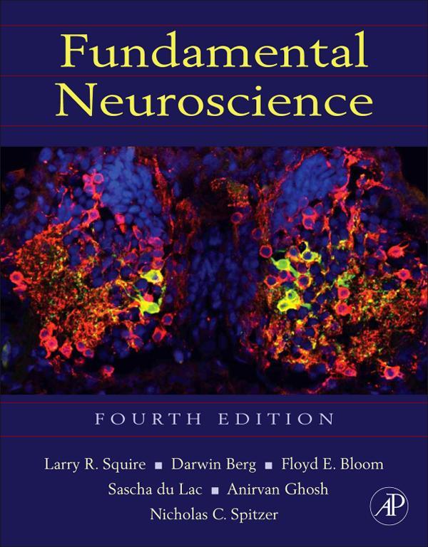Fundamental Neuroscience Fourth Edition Edited by Larry R Squire VA Medical - photo 1