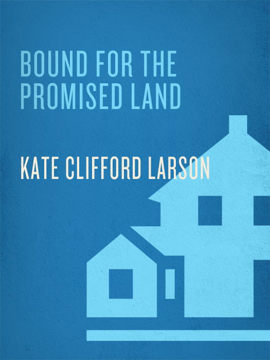 PRAISE FOR BOUND for the PROMISED LAND Larson has captured Harriet Tubmans - photo 1