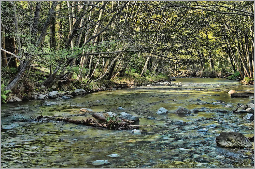 Image I3 Big Sur River f63 ISO 100 140 second Image I4 - photo 10