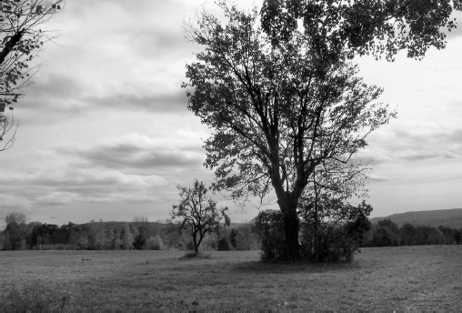 A stormy autumn sky forms a dramatic backdrop to a windy Maine hillside Marcia - photo 2