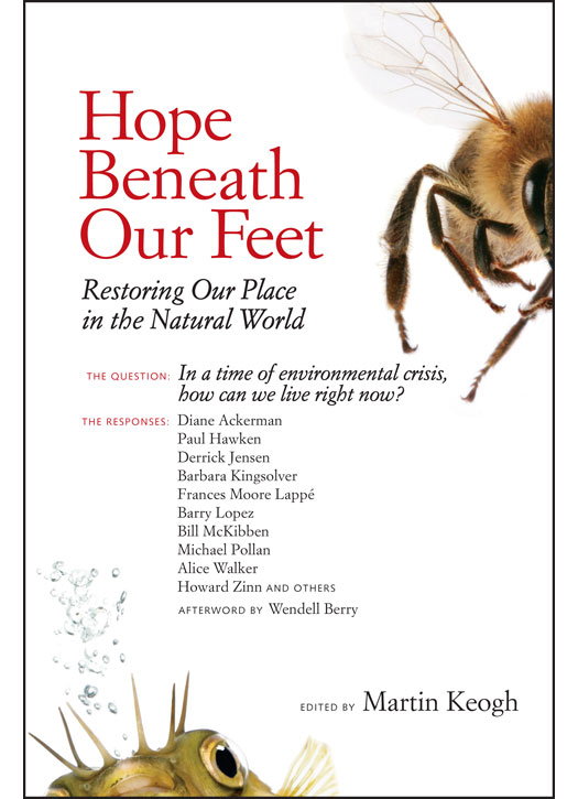 Praise for Hope Beneath Our Feet Uplifting and diverse perspectives on - photo 1