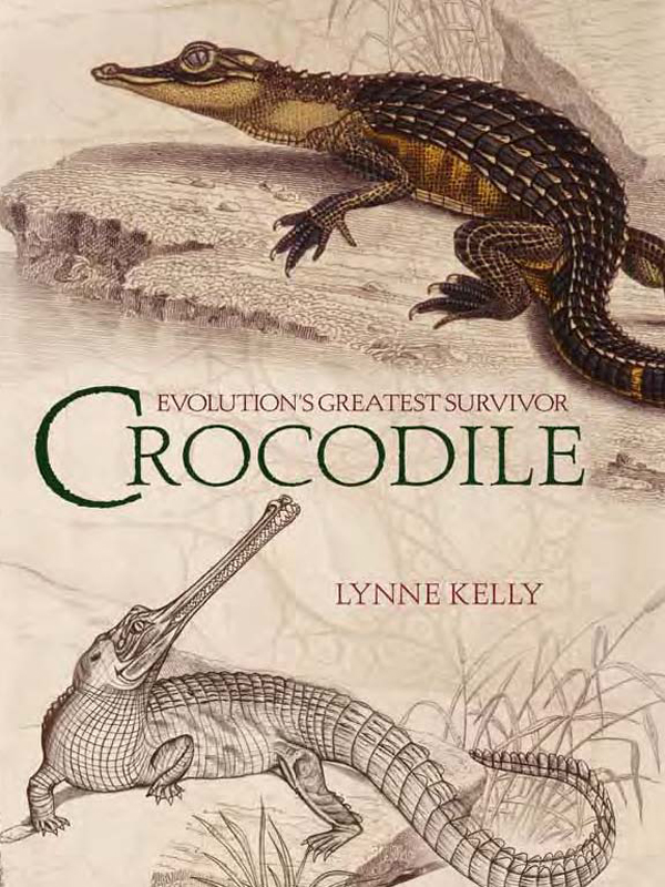 CROCODILE EVOLUTIONS GREATEST SURVIVOR C ROCODILE LYNNE KELLY First - photo 1