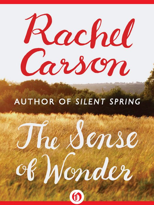 The Sense of Wonder Rachel Carson Photographs by Nick Kelsh Rachel Carson - photo 1