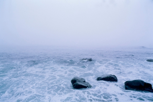 I SPEND THE SUMMER months on the coast of Maine where I have my own shoreline - photo 4