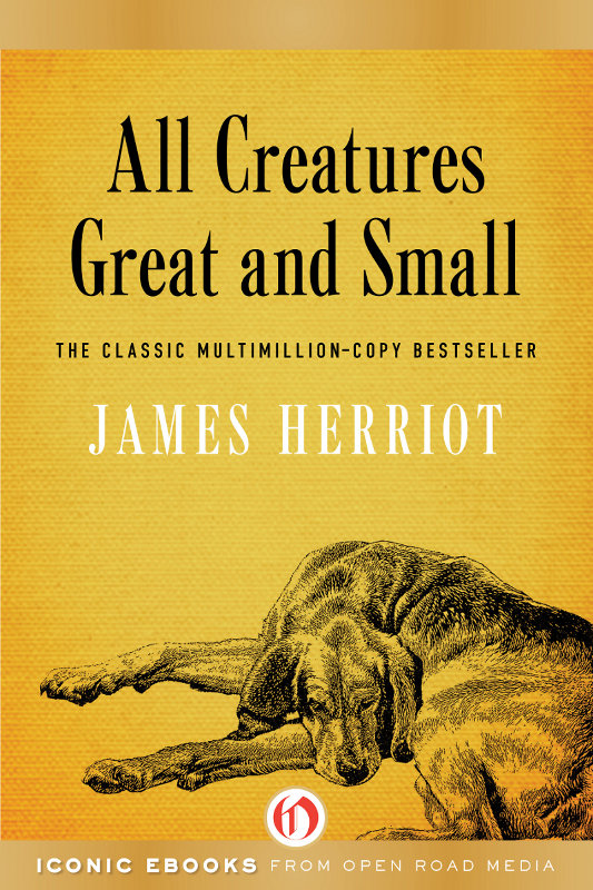 All Creatures Great and Small James Herriot To EDDIE STRAITON with - photo 1