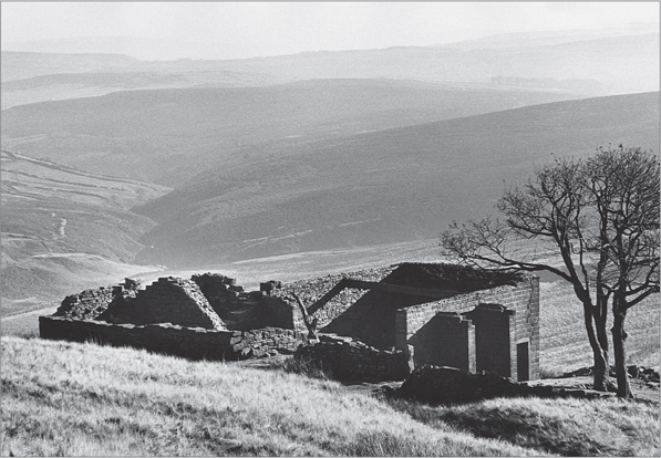 Wuthering Heights the old farmhouse of Top Withens 1977 Ill walk where my - photo 3