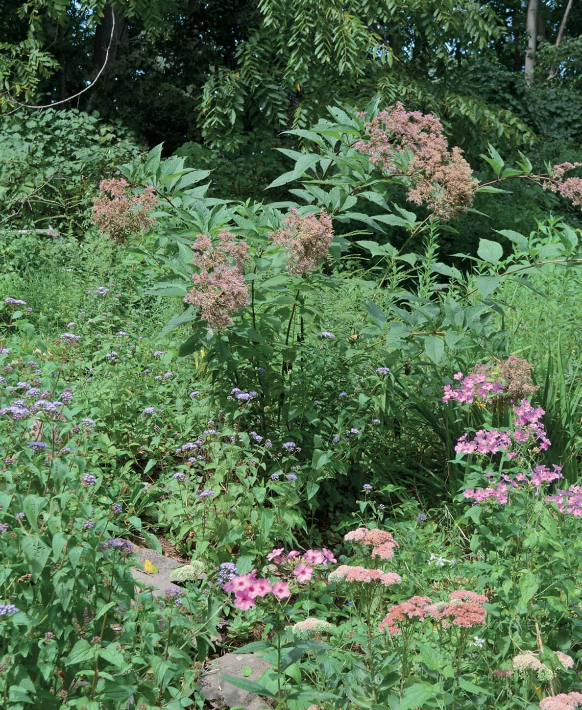 Native plants are important components of organic gardens helping to tie the - photo 7