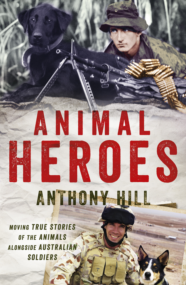 About the Author Anthony Hill is a multi-award-winning bestselling author His - photo 1