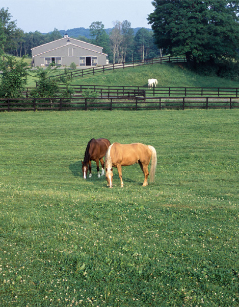 Horsekeeping on a Small Acreage Designing and Managing Your Equine Facilities - photo 1