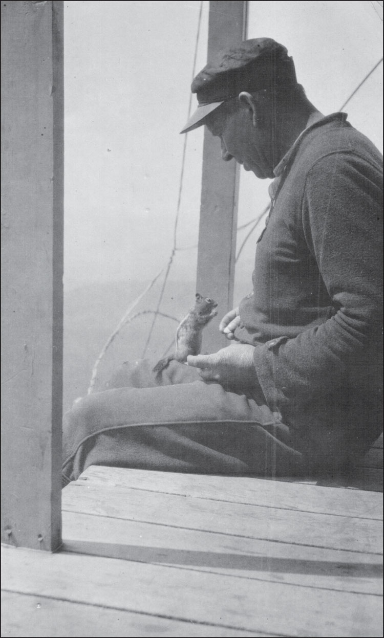 An unidentified man feeds a ground squirrel from the catwalk of a lookout Some - photo 2