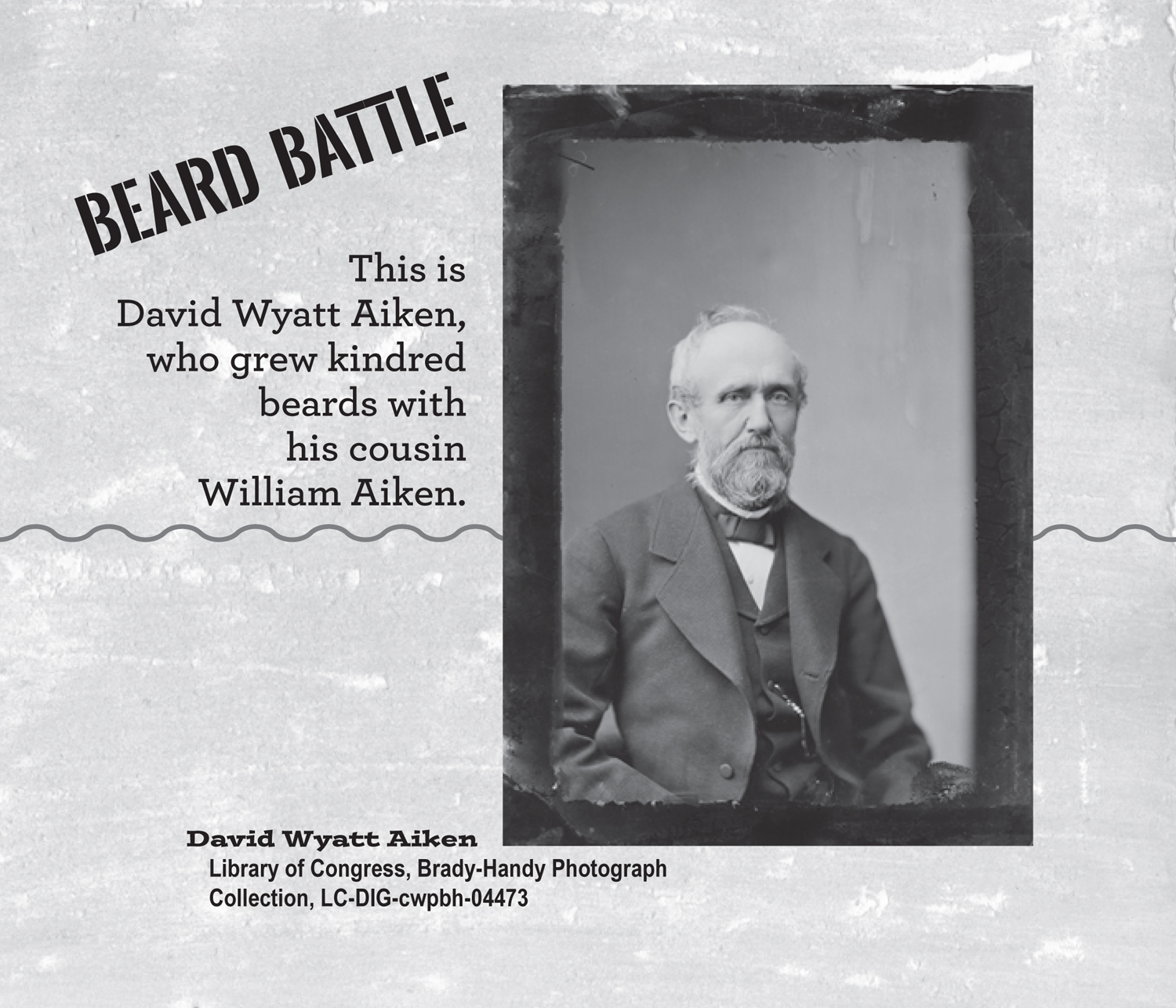 Badass Civil War Beards - photo 11