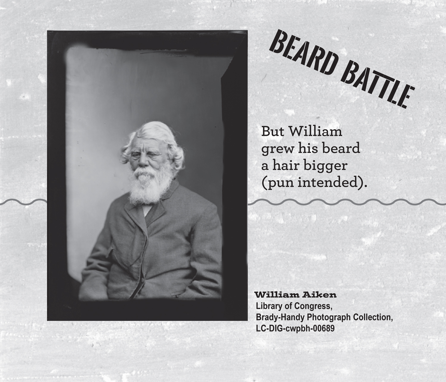 Badass Civil War Beards - photo 12