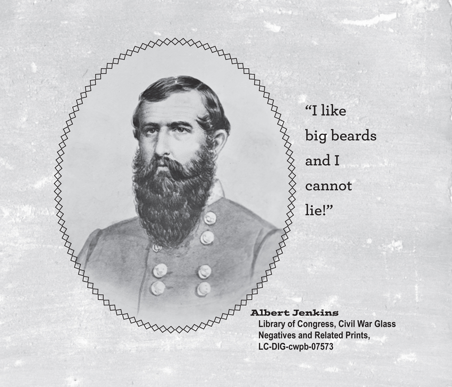 Badass Civil War Beards - photo 31