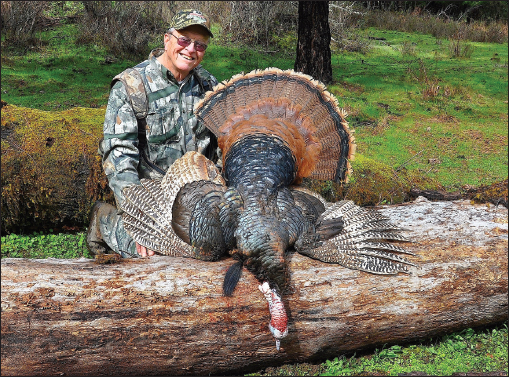 In California the first fall hunting season was held in 1968 and the first - photo 3