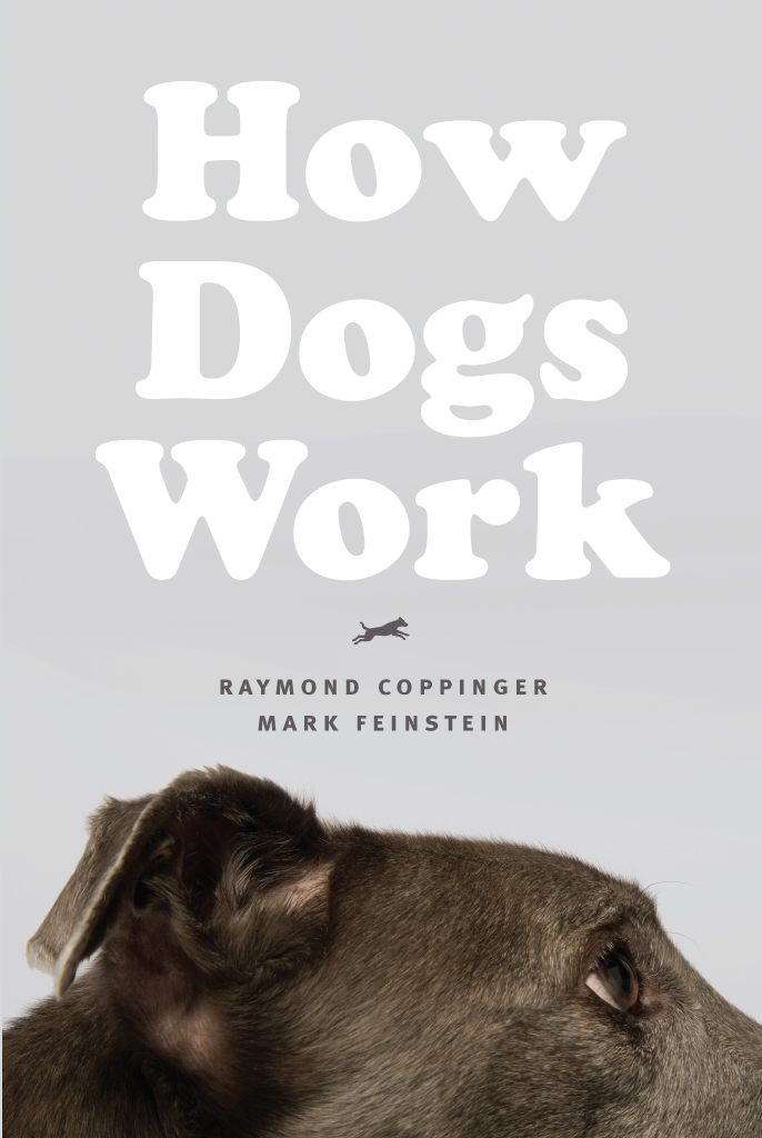 How Dogs Work How Dogs Work Raymond Coppinger Mark Feinstein Foreword by - photo 1