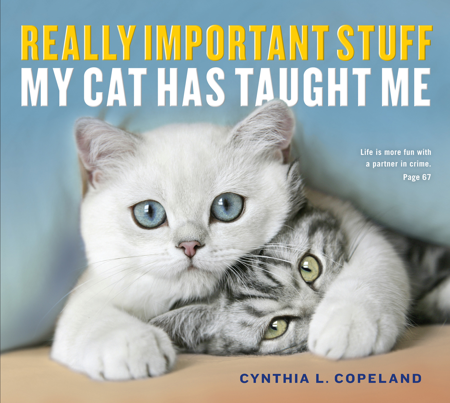 Really Important Stuff My Cat Has Taught Me Cynthia L Copeland Workman - photo 1