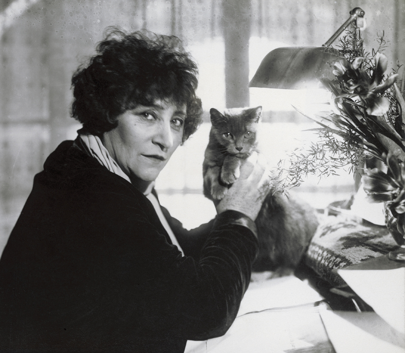 There are no ordinary cats COLETTE B ecause of her lifelong affection for - photo 11