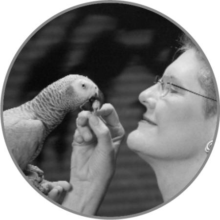 AT HOME WITH AN AFRICAN GREY PARROT By Betty Jean Craige Preface by Irene - photo 3