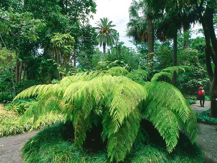 Juergen RichterLOOK-fotoGetty Images Tenerife Top Sights This splendid - photo 10