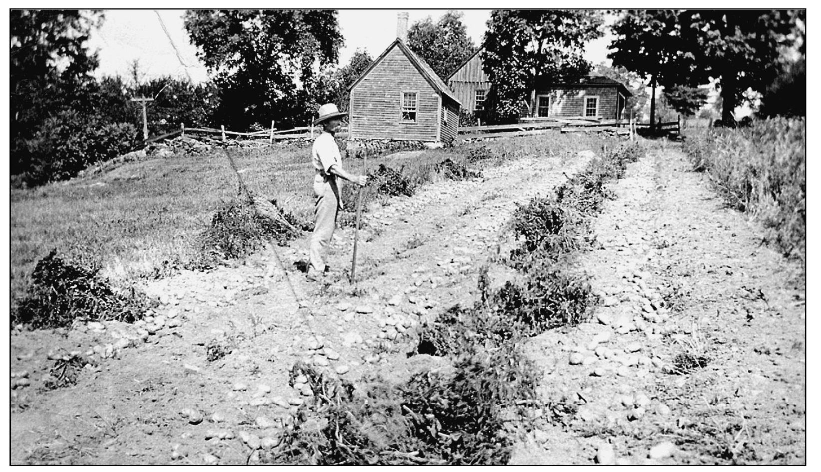 The primary use of the land around Cornish was for agriculture Here Elwin W - photo 6