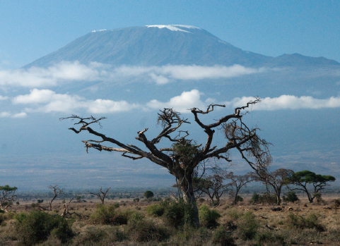 Mount Kilimanjaro 5895 metres Africas highest mountain rises in Tanzania - photo 7