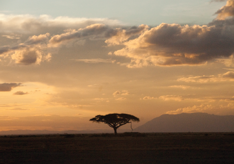 The view north-west from the heart of Amboseli National Park Beyond this - photo 8