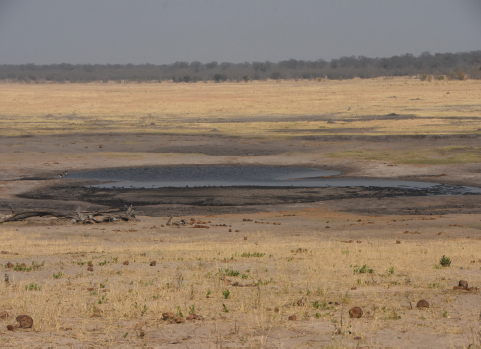 The Madison region between Makalolo and Ngweshla was occupied in September - photo 15