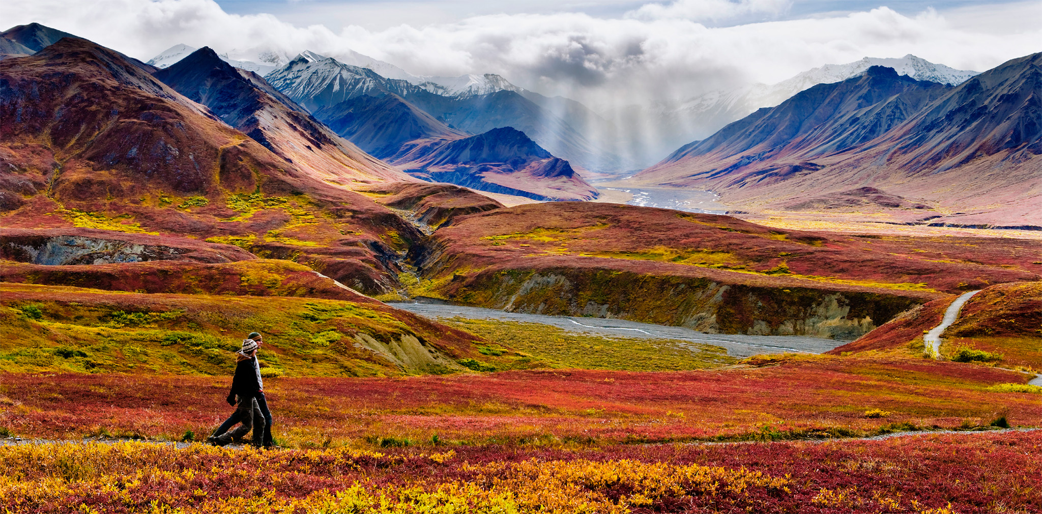 t Every region has its own distinct terrain roam barren tundra in the Arctic - photo 10