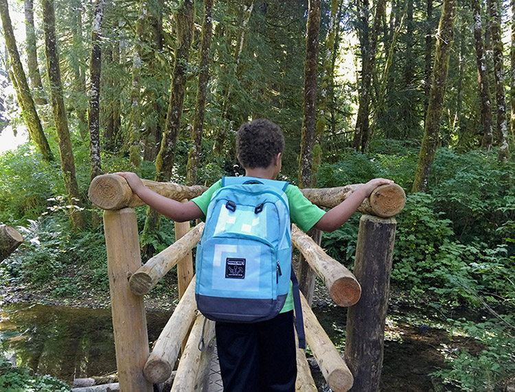 A young adventurer takes on the Soapstone Lake Trail My interest in helping to - photo 2