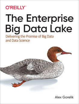 Gorelik - The Enterprise Big Data Lake