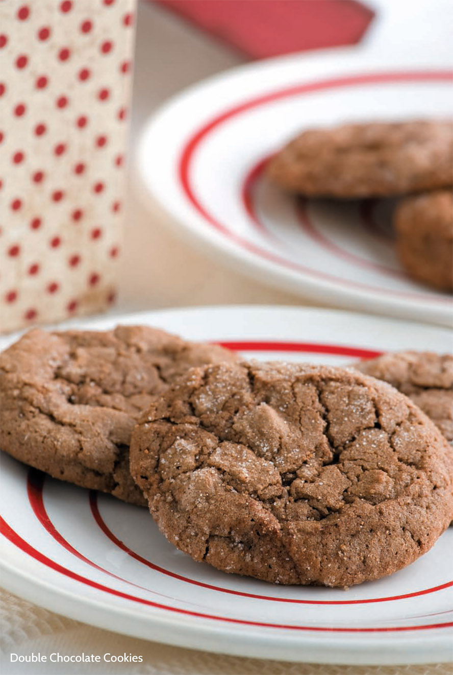 Double Chocolate Cookies Kristi Watson Highland Ranch CO Doubly delectable - photo 9