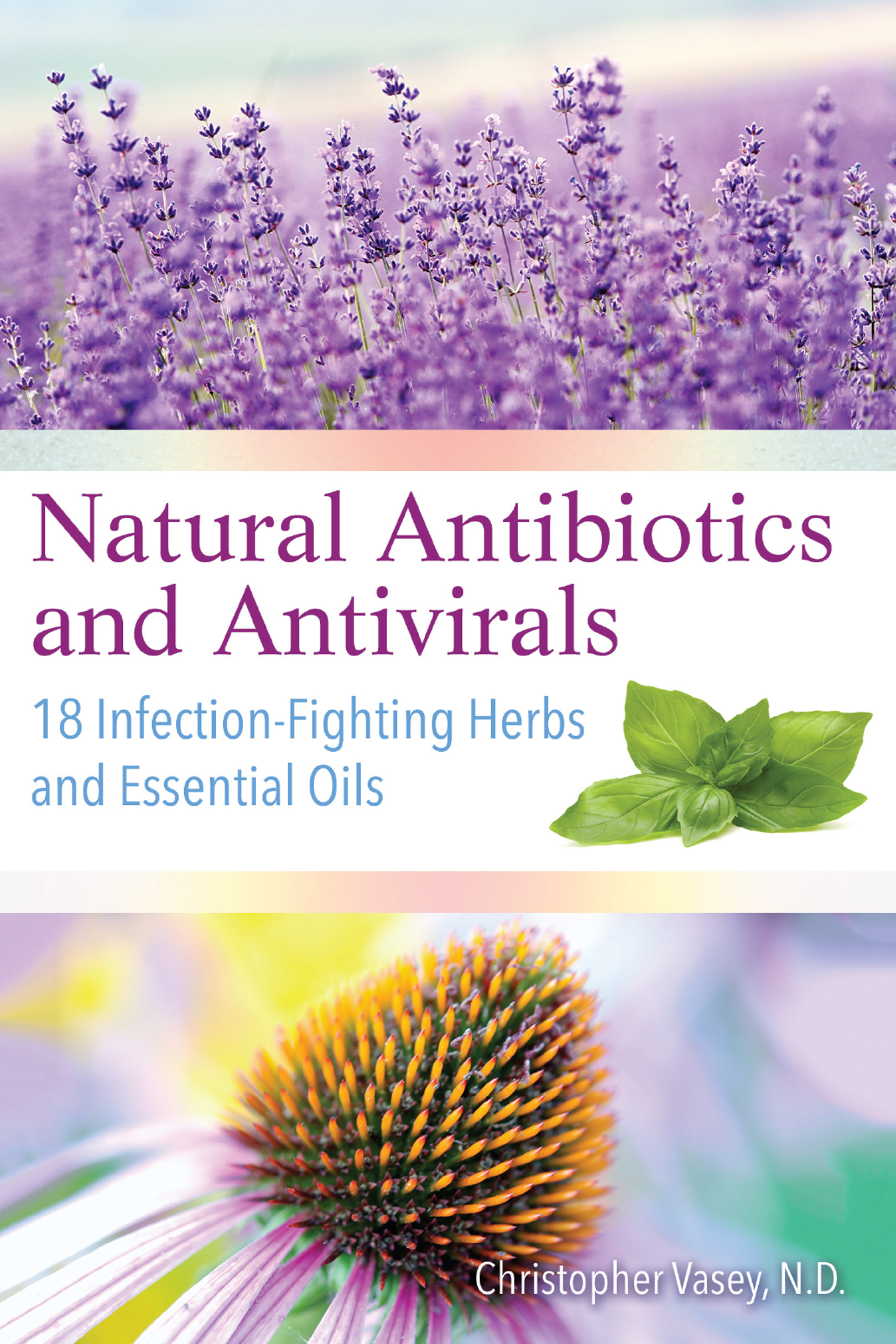 Natural antibiotics and antivirals 18 infection-fighting herbs and essential oils - image 1