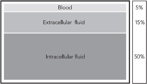 Figure 11 The three physical compartments or levels and their weight - photo 10