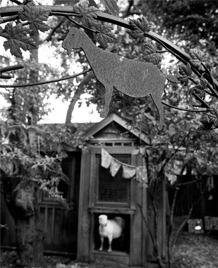 An attractive goat goat shed and well-tended goat yard can add visual - photo 5