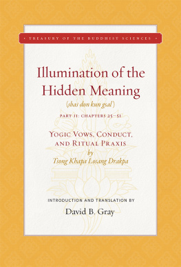 Gray David B. - Illumination of the Hidden Meaning Volume 2